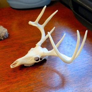 Deer Skull decor